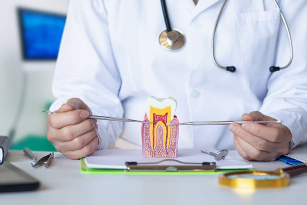 Best Cosmetic Emergency Dentistry in River Falls, WI